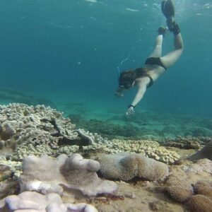 Island Trip and Shallow Reef Snorkelling