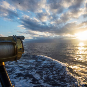 Deep Sea Fishing Charter